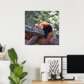 Red Panda Poster (Heimbüro)