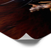 Red Panda Poster (Ecke)