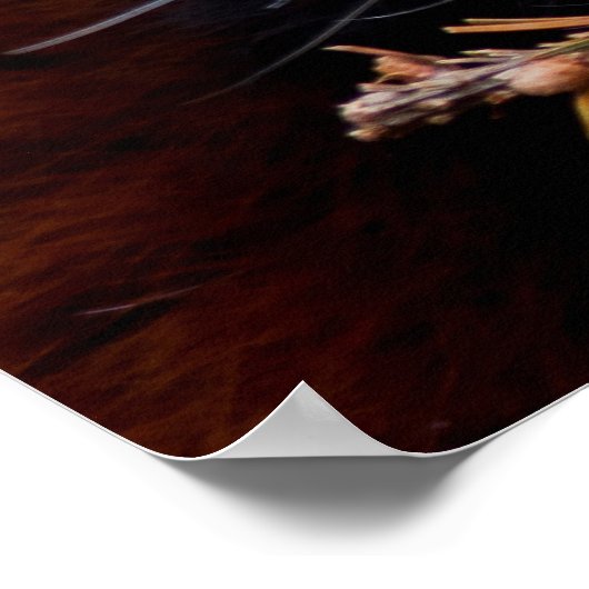 Red Panda Poster (Ecke)