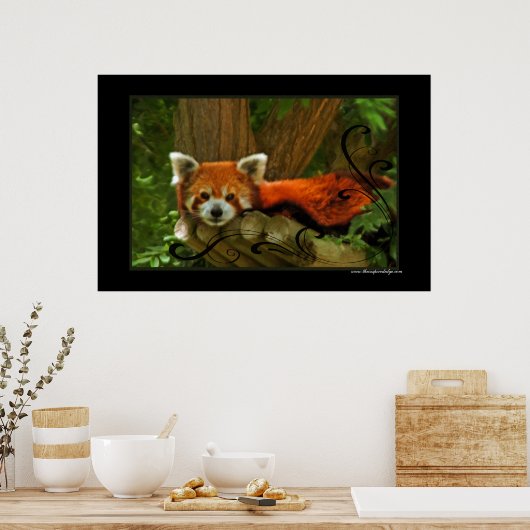 Red Panda Poster Print (Küche)