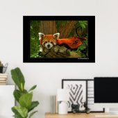 Red Panda Poster Print (Heimbüro)