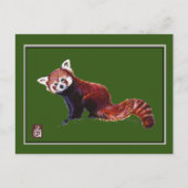 Red Panda Postkarte (Vorderseite)