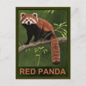 Red Panda Postkarte (Vorderseite)