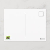 Red Panda Postkarte (Rückseite)