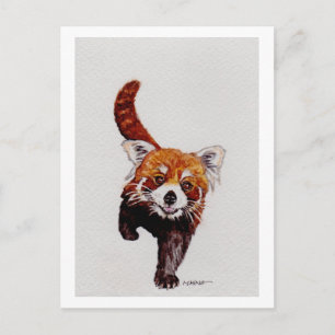 Red Panda Postkarte