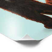 Red Panda Print Fotodruck (Ecke)