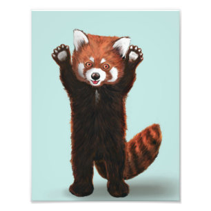 Red Panda Print Fotodruck