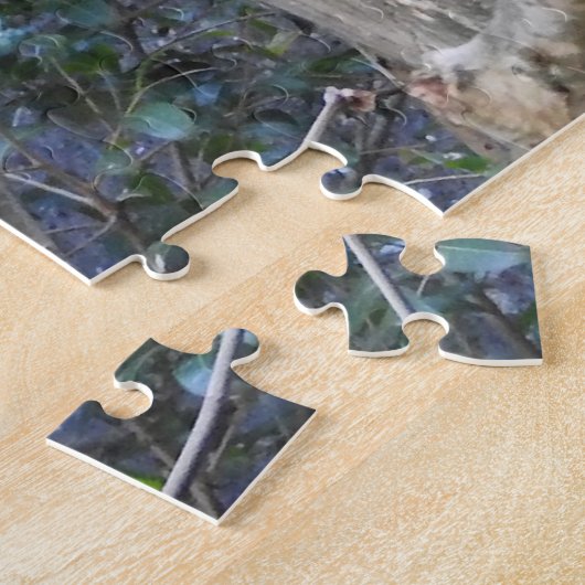 Red Panda Puzzle (Seite)