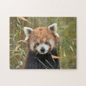 Red Panda Puzzle (Horizontal)