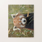 Red Panda Puzzle (Vertikal)