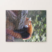 Red Panda Puzzle (Horizontal)