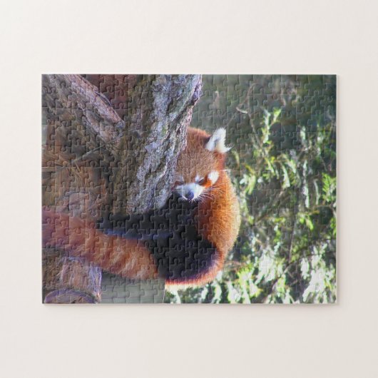 Red Panda Puzzle (Horizontal)