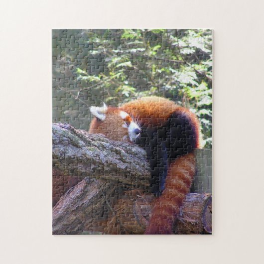 Red Panda Puzzle (Vertikal)