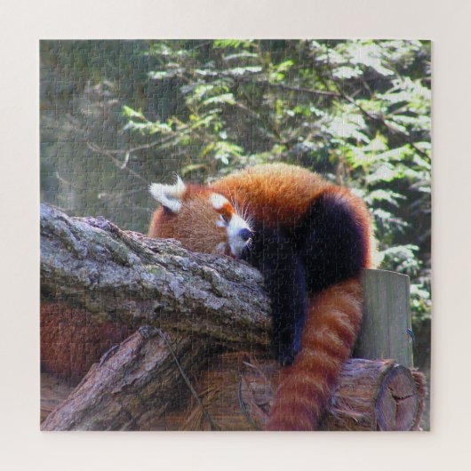 Red Panda Puzzle (Vertikal)