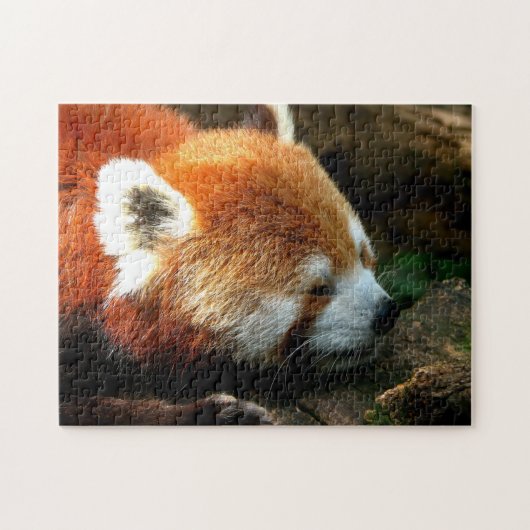 Red Panda Puzzle (Horizontal)