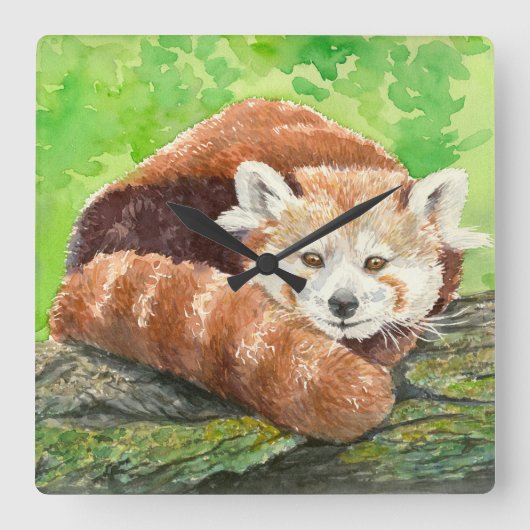 Red panda quadratische wanduhr (Vorderseite)