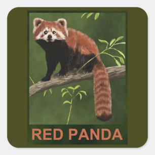 Red Panda Quadratischer Aufkleber