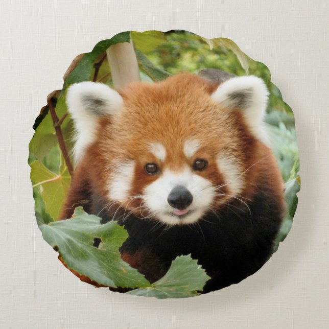 Red Panda Rundes Kissen (Vorderseite)