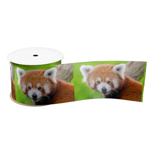 Red Panda Satinband (Spule)
