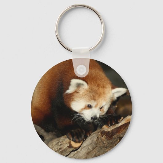 Red Panda Schlüsselanhänger (Vorderseite)