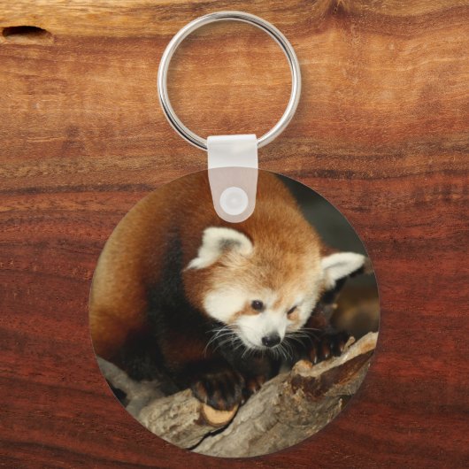 Red Panda Schlüsselanhänger (Vorderseite)
