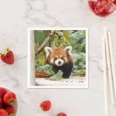 Red Panda Serviette (Beispiel)