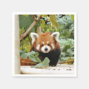 Red Panda Serviette
