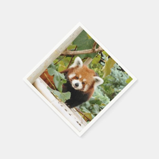 Red Panda Serviette (Ecke)