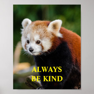 Red Panda sind nette inspirierende Zitate nach Maß Poster