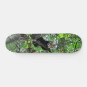 Red Panda Skateboard (Horizontal)