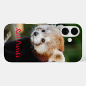 Red Panda Snowy Log Picture Case-Mate iPhone Hülle (Rückseite (Horizontal))