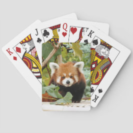 Red Panda Spielkarten