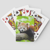 Red Panda Spielkarten (Rückseite)