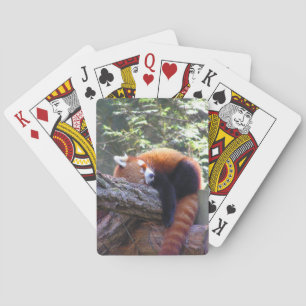 Red Panda Spielkarten