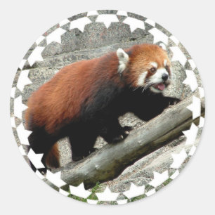 Red Panda Stickers