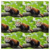 Red Panda Stoff (Muster)