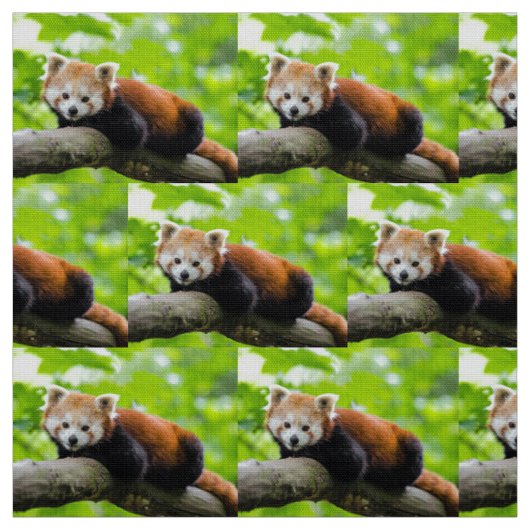 Red Panda Stoff (Muster)
