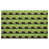 Red Panda Stoff (Fat Quarter (45,7 x 55,9 cm))
