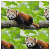 Red Panda Stoff (Nahaufnahme)