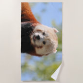 Red Panda Strandtuch (Vorderseite)