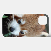 Red Panda, Taronga Zoo, Sydney, Australien Case-Mate iPhone Hülle (Rückseite (Horizontal))