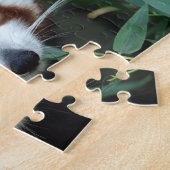 Red Panda, Taronga Zoo, Sydney, Australien Puzzle (Seite)