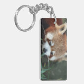 Red Panda, Taronga Zoo, Sydney, Australien Schlüsselanhänger (Vorderseite links)