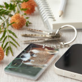 Red Panda, Taronga Zoo, Sydney, Australien Schlüsselanhänger (Vorderseite rechts)