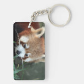 Red Panda, Taronga Zoo, Sydney, Australien Schlüsselanhänger (Rückseite)