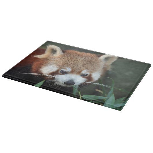 Red Panda, Taronga Zoo, Sydney, Australien Schneidebrett (Ecke)