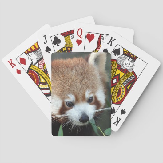 Red Panda, Taronga Zoo, Sydney, Australien Spielkarten (Rückseite)