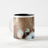 Red Panda, Taronga Zoo, Sydney, Australien Zweifarbige Tasse (Vorderseite Links)