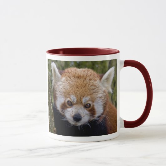 Red Panda Tasse (Rechts)