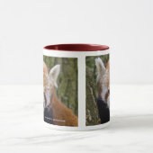Red Panda Tasse (Zentrum)